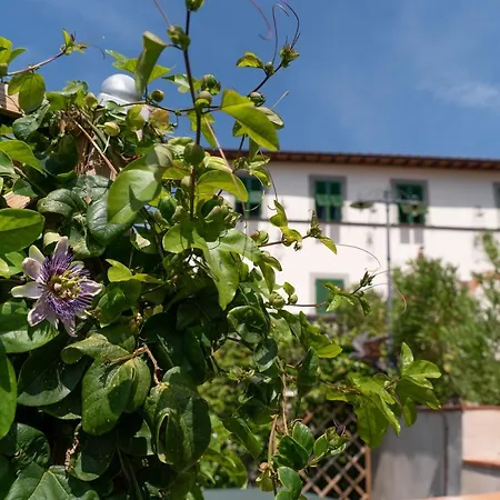 Castel Del Monte Pinocchio Story By Collodi Villa