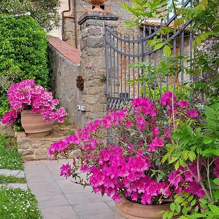 Villa Castel Del Monte - Panoramic Tuscan With Jacuzzi *