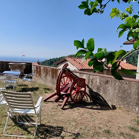 Castel Del Monte Pinocchio Story By Collodi Pescia