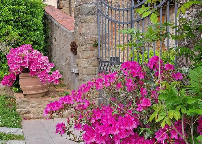 Villa Castel Del Monte - Panoramic Tuscan With Jacuzzi *