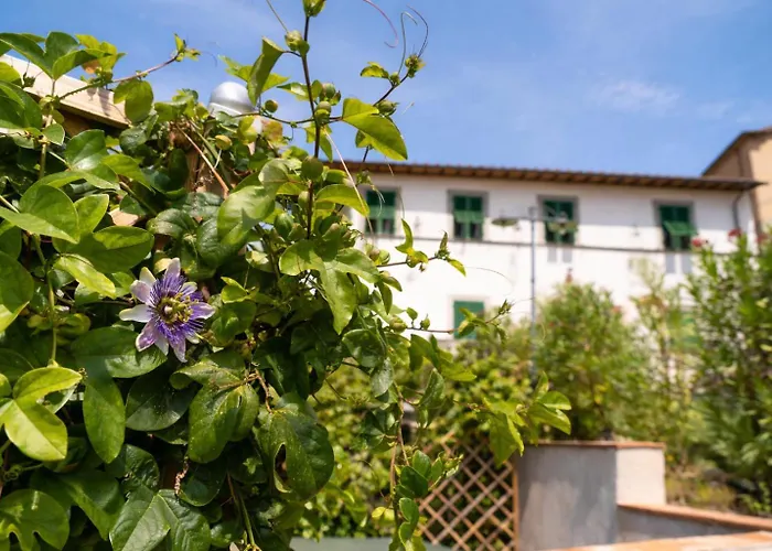 Villa Castel Del Monte - Panoramic Tuscan With Jacuzzi